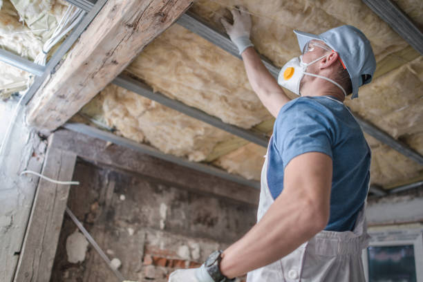 Best Insulation Inspection Services  in Cumberland Head, NY