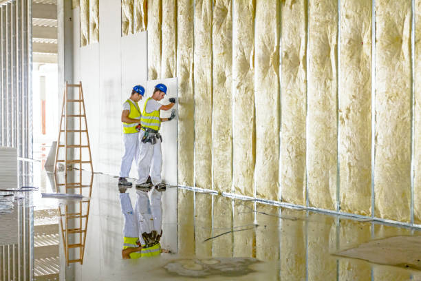 Best Wall Insulation Contractor  in Cumberland Head, NY